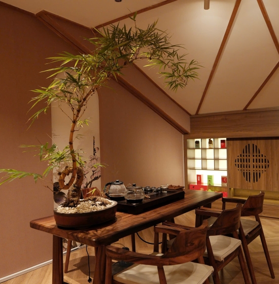 VỀ VELA SPA